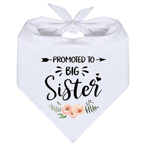 Promoted big sister - promoted, to