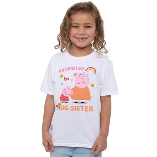 Peppa pig promoted big - to,